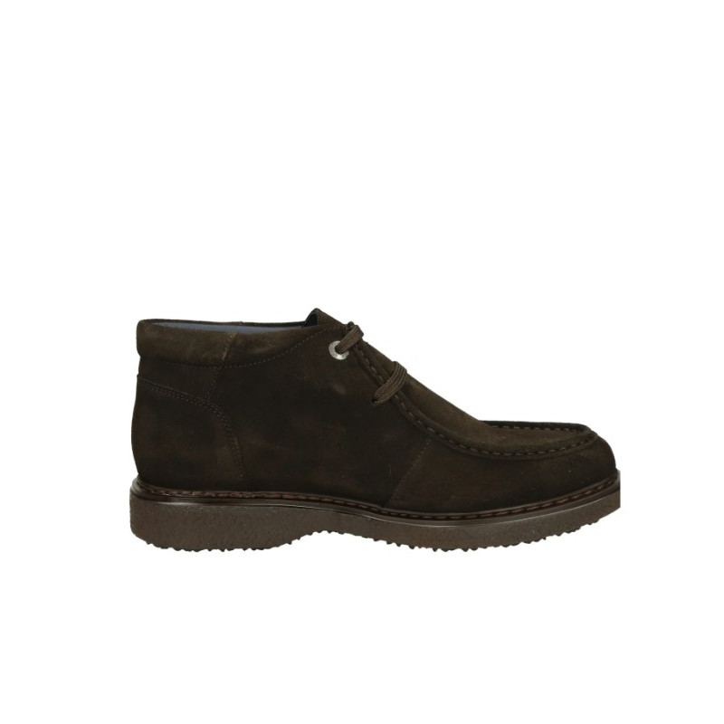 CALLAGHAN - A2512307MARRONEMARR