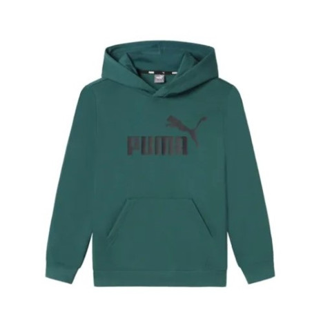 PUMA - A24FCAR58696522GREE