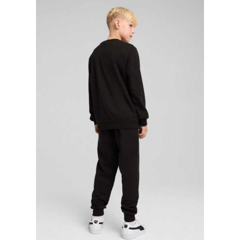 PUMA - P25TCGR68629601NER