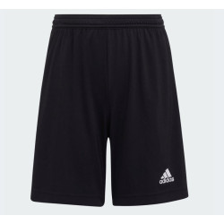ADIDAS - A23SHORH57502NER