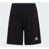 ADIDAS - A23SHORH57502NER