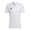 ADIDAS - A23SMVUHC5071BIA