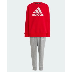 ADIDAS - P23TCGIHR5916ROS