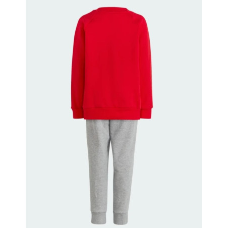 ADIDAS - P23TCGIHR5916ROS