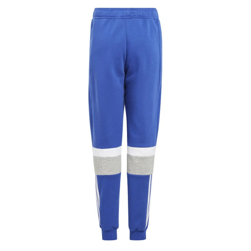 ADIDAS - P24PAFRIB4085BLU