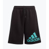 ADIDAS - P22SHORHE9297NER