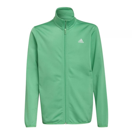 ADIDAS - A21TACRGS0184VER