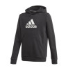 ADIDAS - A21FCARGJ6633NER