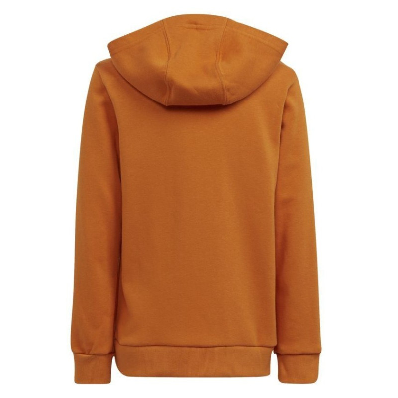 ADIDAS - A21FCARH07738ARA